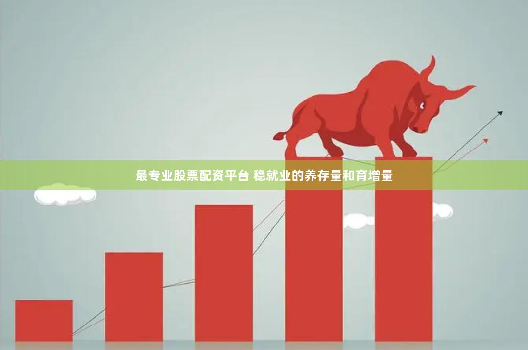 最专业股票配资平台 稳就业的养存量和育增量