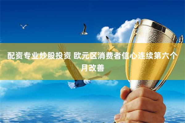 配资专业炒股投资 欧元区消费者信心连续第六个月改善