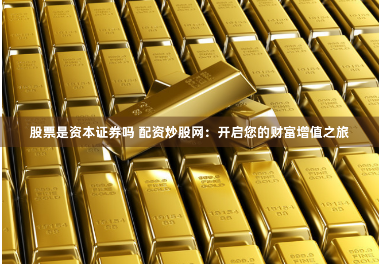 股票是资本证券吗 配资炒股网：开启您的财富增值之旅