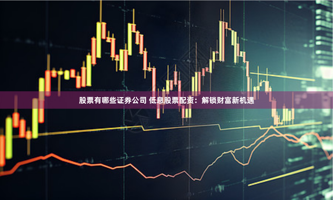 股票有哪些证券公司 低息股票配资：解锁财富新机遇