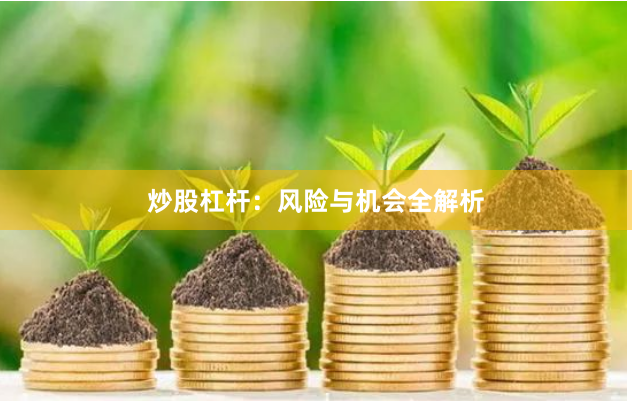 炒股杠杆:风险与机会全解析